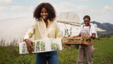 Learnership Agriculture Opportunity 2025: How to Apply and Secure Your Spot