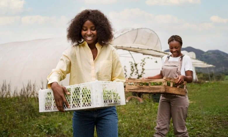 Learnership Agriculture Opportunity 2025: How to Apply and Secure Your Spot