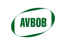 Comprehensive Guide to the Branch Administration Clerk Role at AVBOB