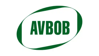 Comprehensive Guide to the Branch Administration Clerk Role at AVBOB